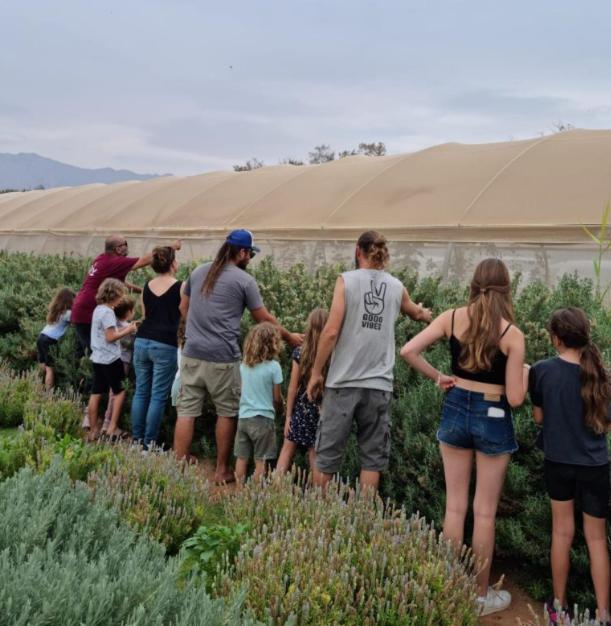 Elifaz Desert Experience Holiday Luaran gambar
