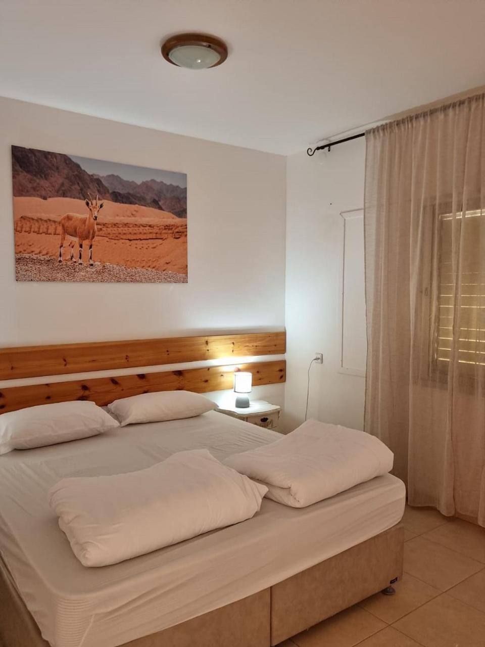 Elifaz Desert Experience Holiday Luaran gambar