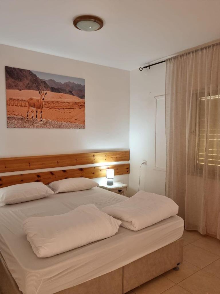 Elifaz Desert Experience Holiday Luaran gambar